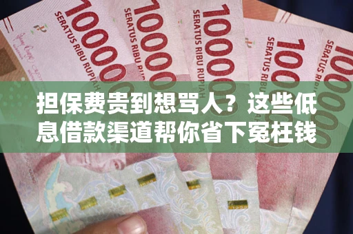 济南担保费贵到想骂人？这些低息借款渠道帮你省下冤枉钱
