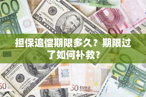 济南担保追偿期限多久？期限过了如何补救？