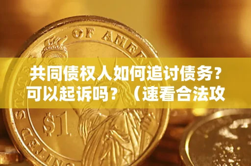 济南共同债权人如何追讨债务？可以起诉吗？（速看合法攻略）
