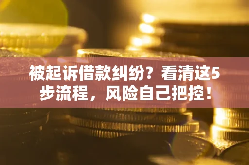 济南被起诉借款纠纷？看清这5步流程，风险自己把控！
